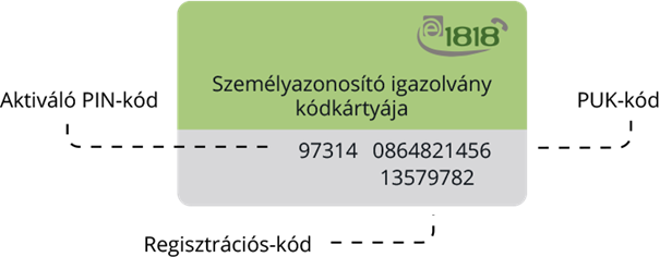 kodok1